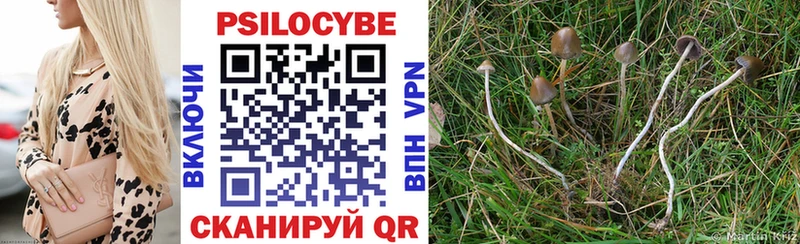 Купить закладки  Кедровый  Псилоцибиновые грибы мухоморы 